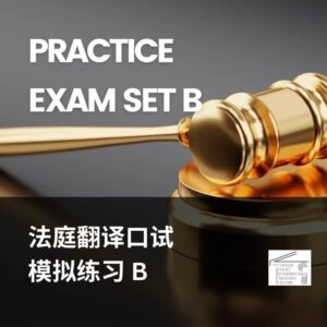 Gavel with text: Practice Exam Set B.